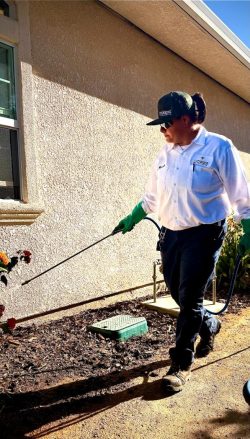 Hobbs Pest Solutions - Business Photo