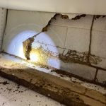 termite-damage-1